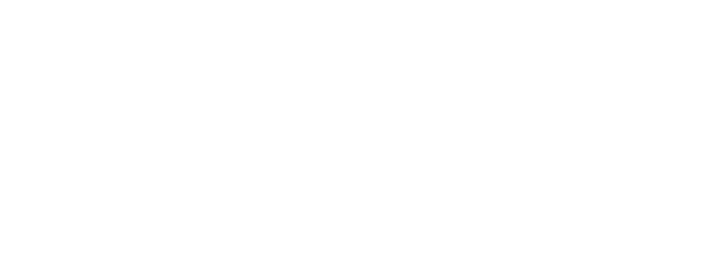 logo weiß
